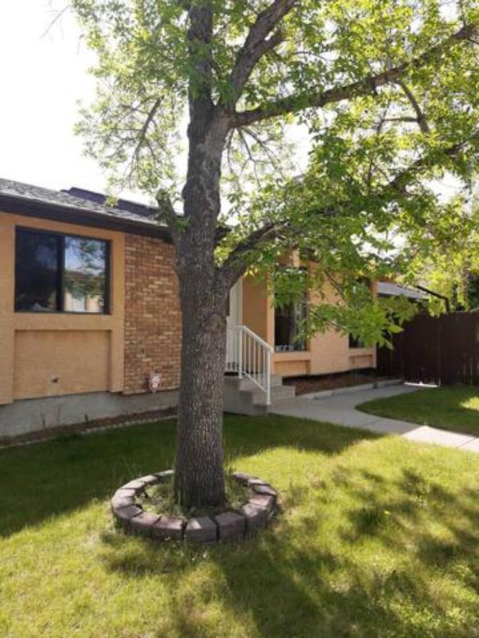 Cozy Home With Comfortable Beds And Fully Equipped Kitchen 15 Mins Drive From Airport, Downtown, Sait And U Of C And 80 Min Drive To Banff 卡加利 外观 照片